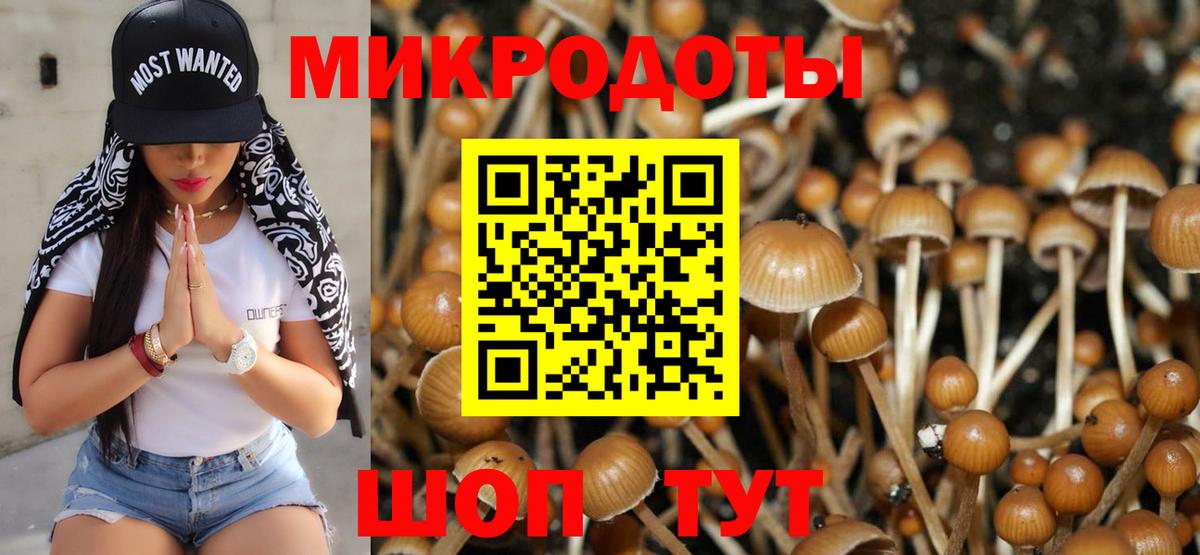Псилоцибиновые грибы Psilocybe  Псилоцибиновые грибы Psilocybine cubensis  Калуга  Вход с VPN 