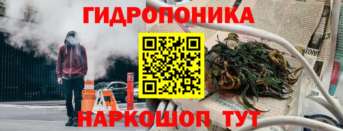 Бошки марихуана MAZAR  Вход с VPN  Бошки марихуана сатива  Каннабис сатива  Калуга  Марихуана MAZAR 